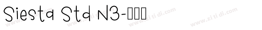 Siesta Std N3字体转换